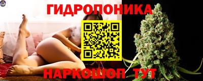 круглые Новодвинск