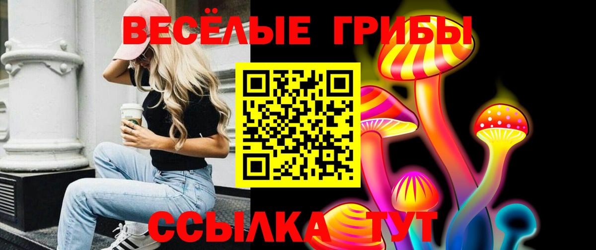 Галлюциногенные грибы Cubensis Приморско-Ахтарск